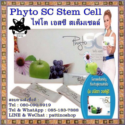 Phyto SC Stem Cell : ไฟโต เอสซี สเต็มเซลล์ พาคุณย้อนคืนร่างกายสู่วัยหนุ่มสาว